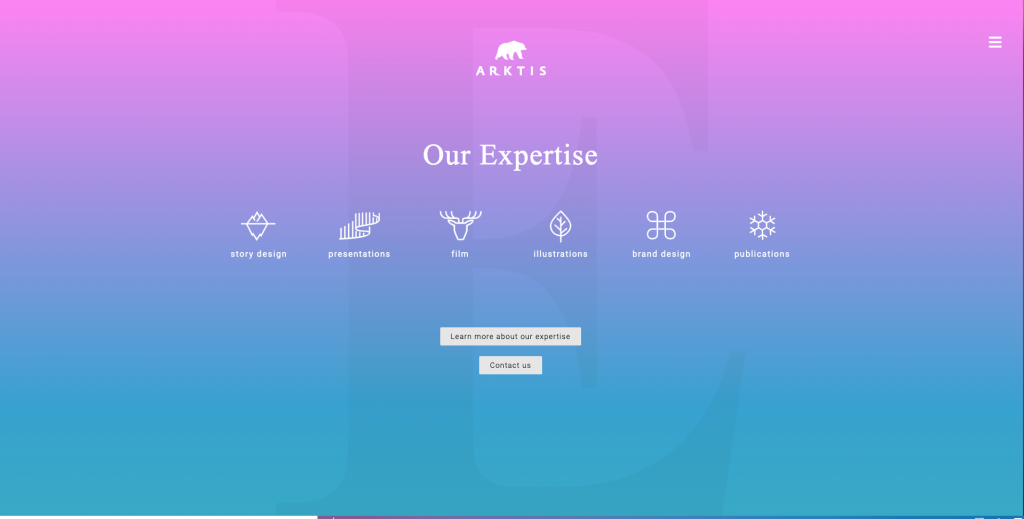 arktis web design agency